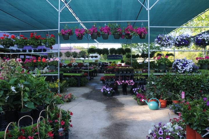 Atlantic Gardening | 5217 Atlantic Ave, Raleigh, NC 27616, USA | Phone: (919) 878-8877