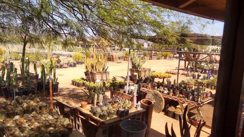 Old West Cactus Farm | 43608 N Black Canyon Hwy, Phoenix, AZ 85087, USA | Phone: (623) 465-9560