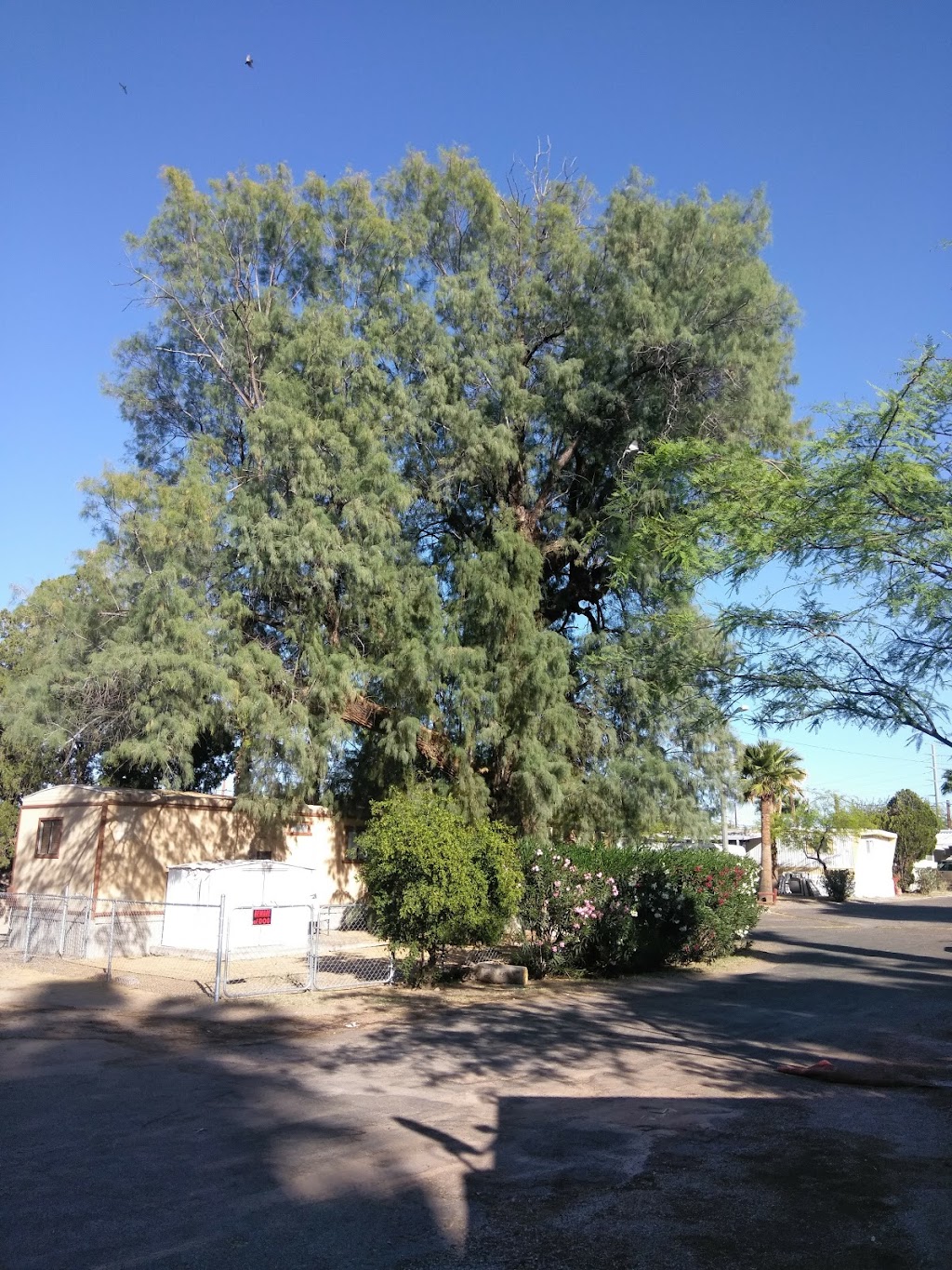 Desert Shores Estates MHP | 1067 W Miracle Mile, Tucson, AZ 85705, USA | Phone: (520) 622-4332