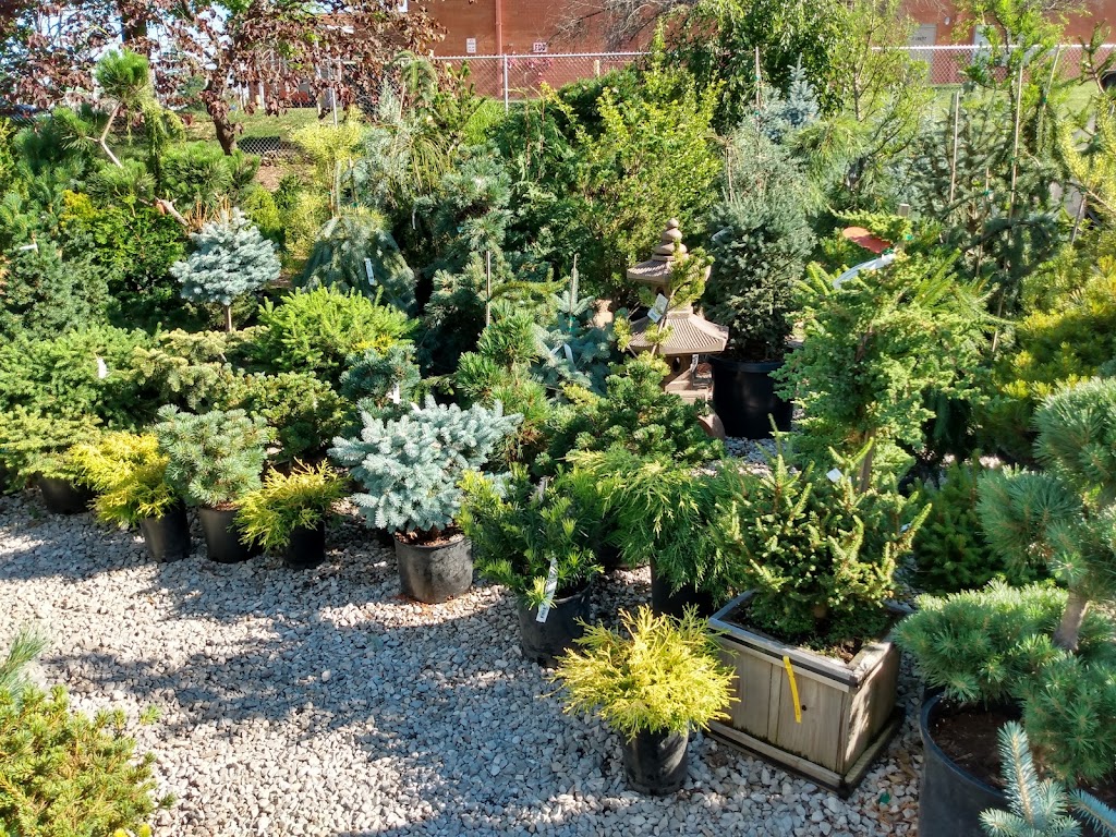 Timberwinds Nursery | 54 Clarkson Rd, Ellisville, MO 63011, USA | Phone: (636) 227-0095