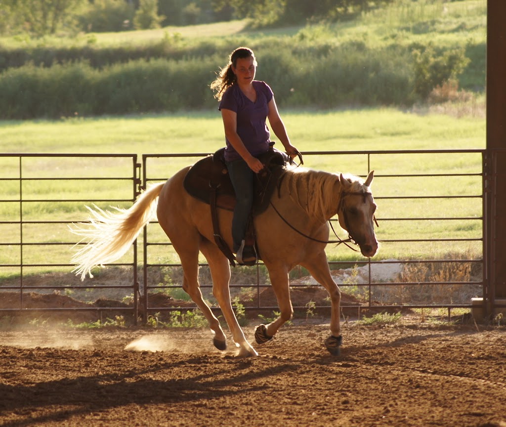 Younger Stables and Arena | 809 Younger Ranch Rd, Azle, TX 76020, USA | Phone: (817) 773-1479