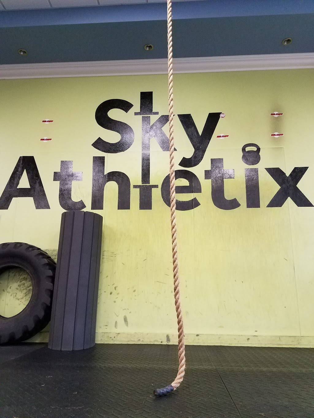 Sky Athletix | 110 Holland Ln, Lutz, FL 33548, USA | Phone: (813) 949-6227