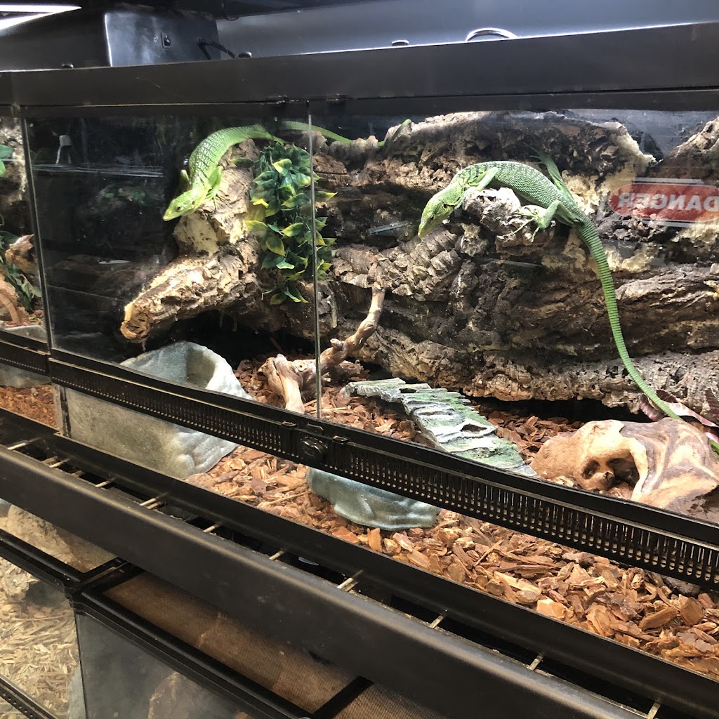 Land And Sea Exotic Pets | 785 Seaboard Drive #202 & # 203, Dallas, GA 30132, USA | Phone: (678) 403-8799