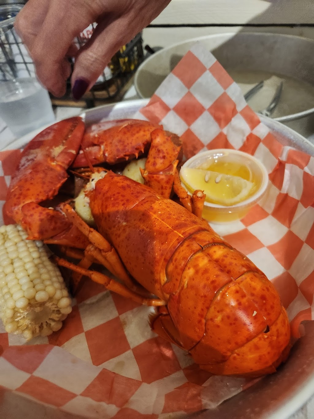 Point Lobster Co | 1 St Louis Ave, Point Pleasant Beach, NJ 08742, USA | Phone: (732) 892-1718
