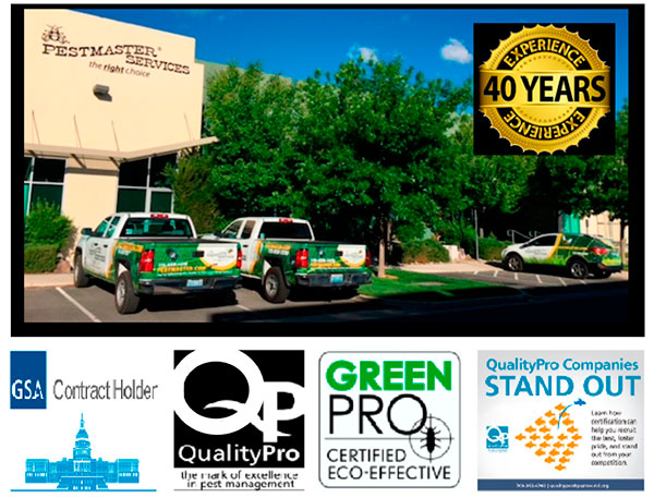 Pestmaster Services | 5567 S Orange Blossom Trail, Intercession City, FL 33848, USA | Phone: (407) 818-5872