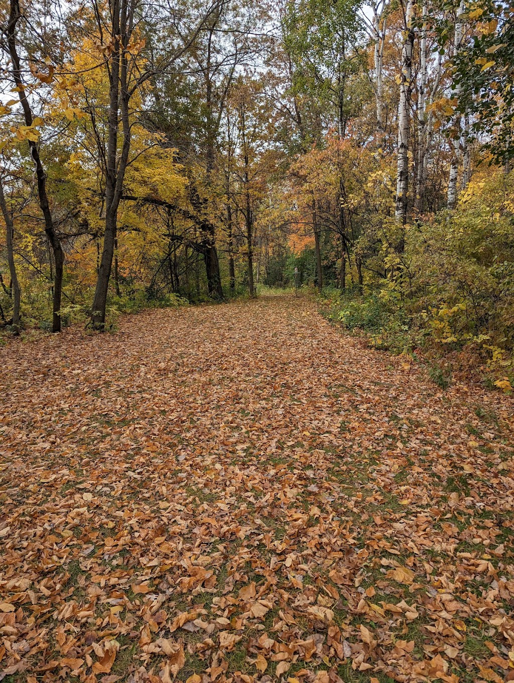 Oak Grove Preserve | Viking Boulevard Northwest and, Kiowa St NW, Oak Grove, MN 55303, USA | Phone: (763) 404-7000