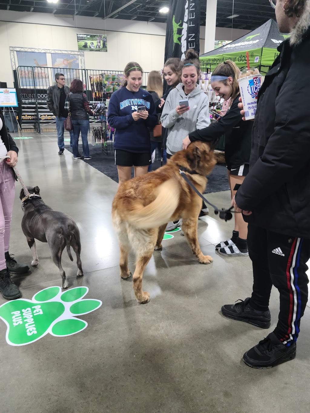 Novi Pet Expo | 46100 Grand River Ave, Novi, MI 48374, USA | Phone: (248) 348-5600 ext. 208