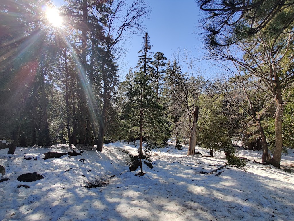 Ernie Maxwell Scenic Trail 3E07 | Fern Valley Rd, Idyllwild-Pine Cove, CA 92549, USA | Phone: (909) 382-2921