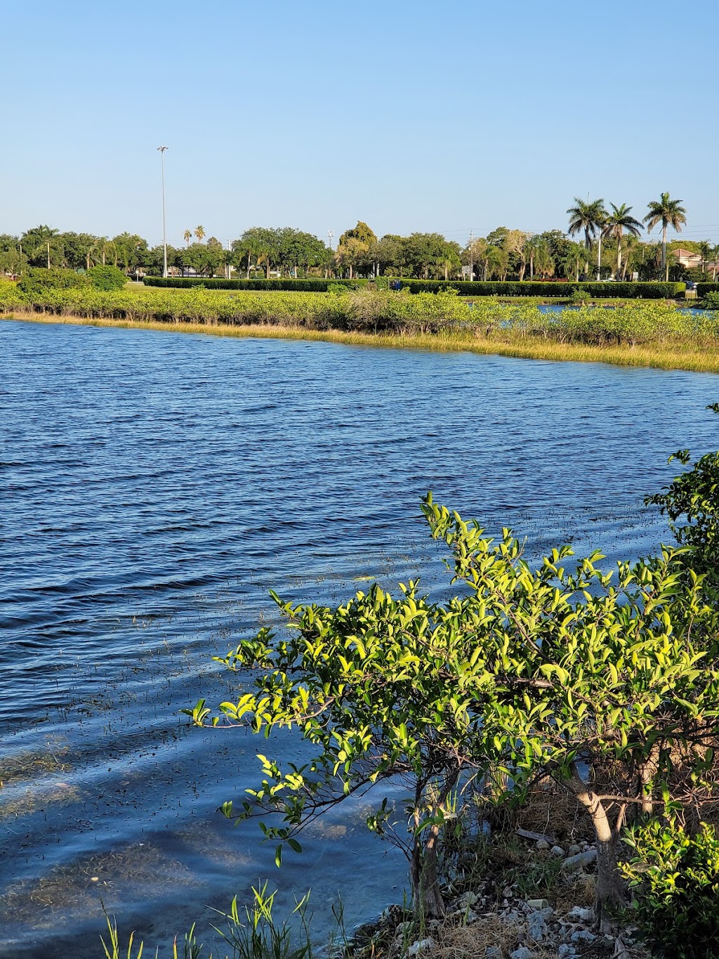 Silver Lakes Community Park | 901 NW 178th Ave, Pembroke Pines, FL 33029, USA | Phone: (954) 438-6570