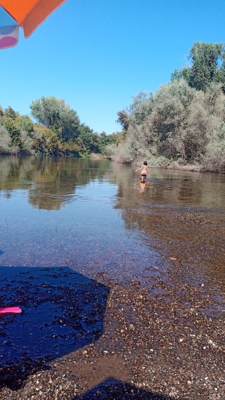 River Road Access Stanislaus River Parks | 25234 E River Rd, Escalon, CA 95320, USA | Phone: (209) 881-3517