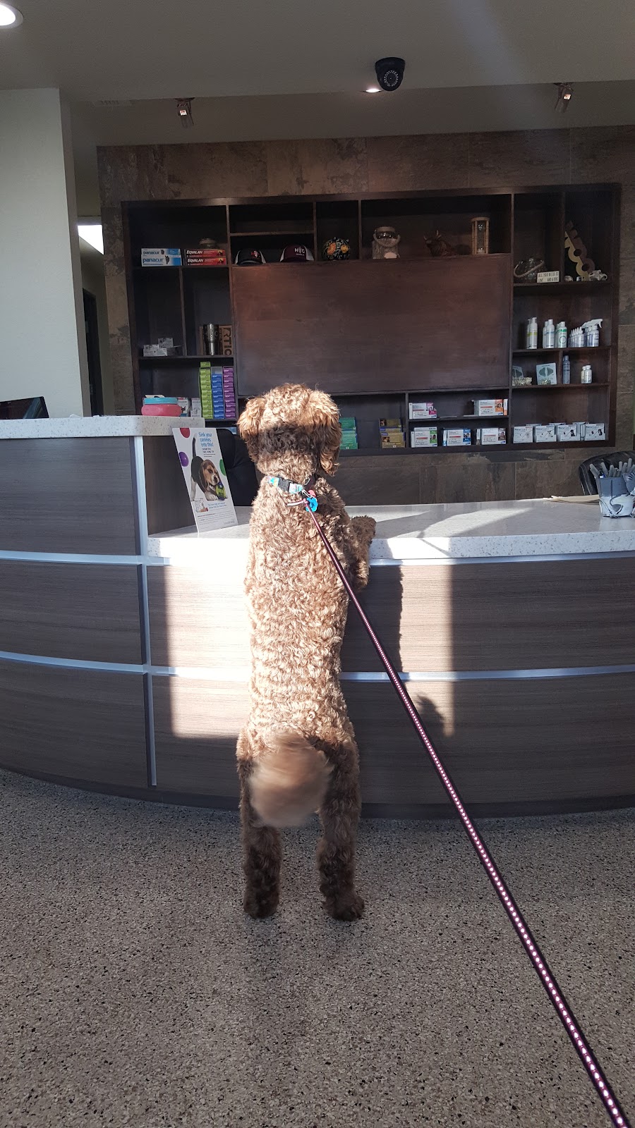 Heritage Veterinary Clinic | 4392 S FM 51, Decatur, TX 76234, USA | Phone: (940) 626-8284