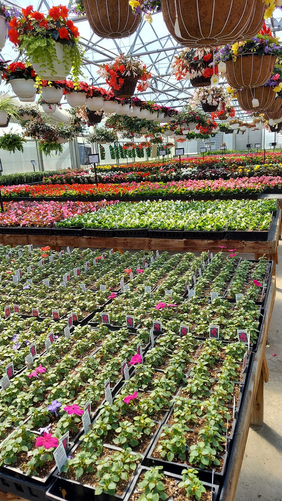 The Gardners Greenhouse | 1122 E 350 S #9596, Monroe, IN 46772 | Phone: (260) 589-2164