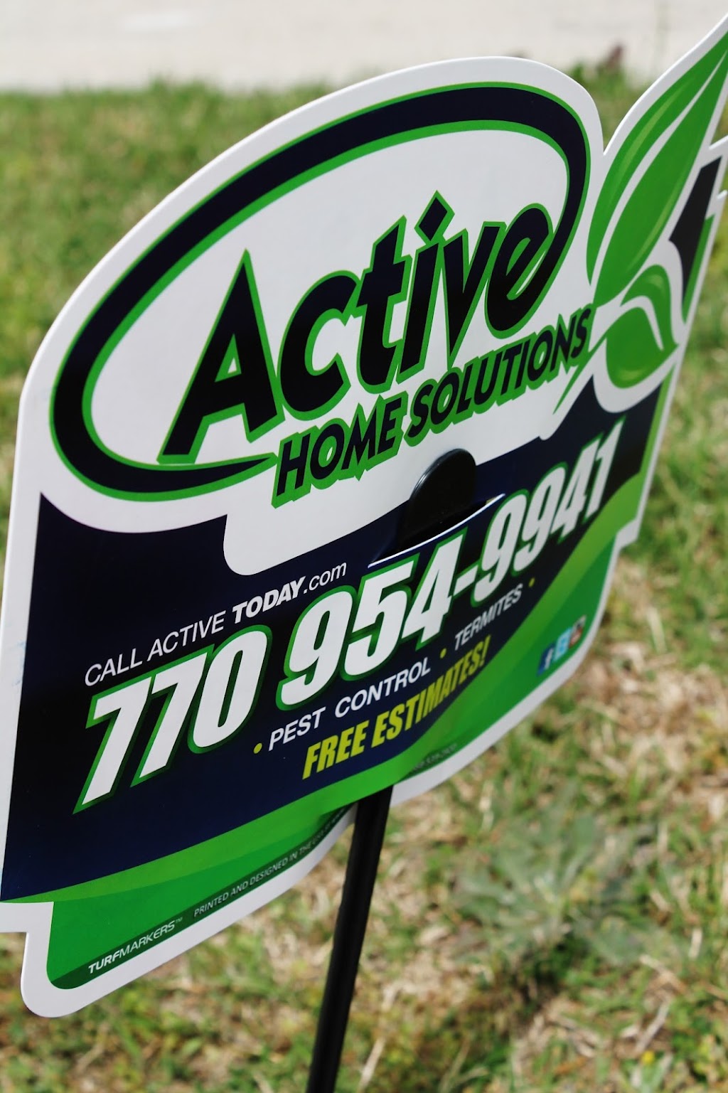 Active Pest Control | 115 Mt Carmel Rd, McDonough, GA 30253, USA | Phone: (770) 220-7953