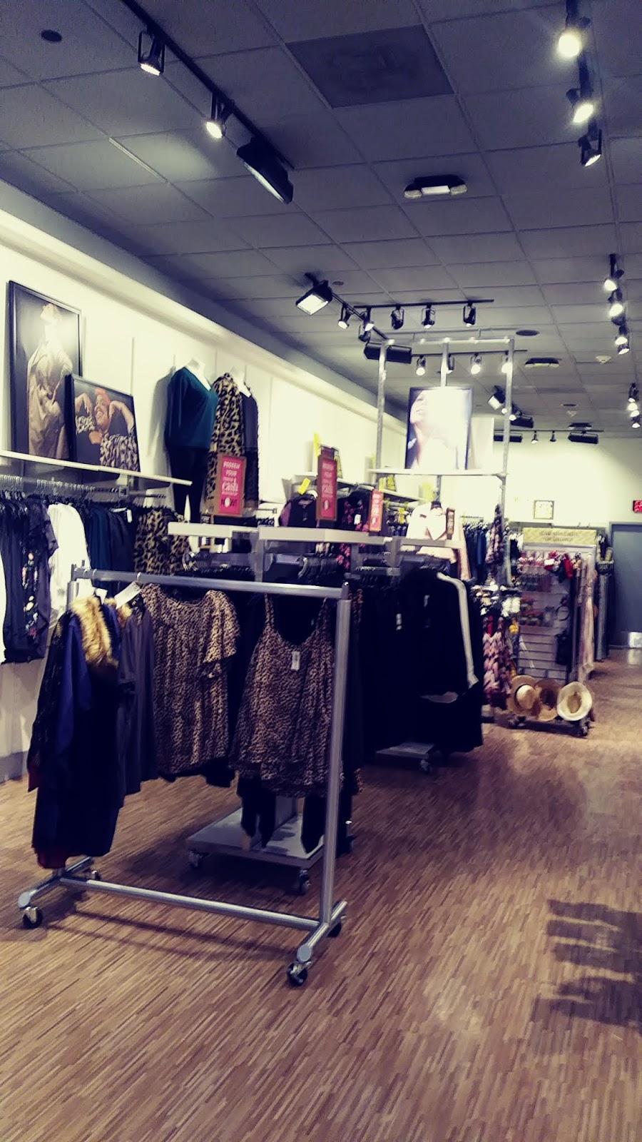 Torrid | 203 Yorktown Shopping Center Ste 205, Lombard, IL 60148, USA | Phone: (630) 424-0070