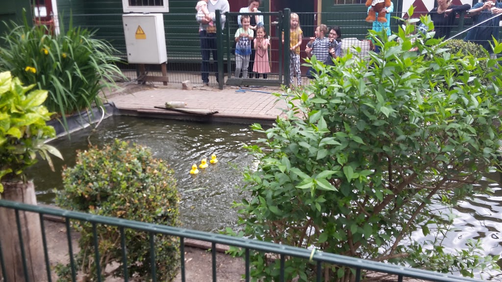 Petting Farm "de Werf" | Archimedeslaan 59, 1098 PX Amsterdam, Netherlands | Phone: 020 694 2694