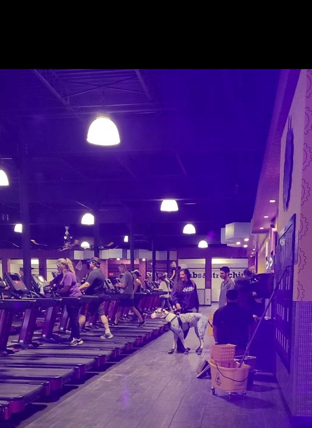 Planet Fitness | 1521 Mentor Ave, Painesville Township, OH 44077, USA | Phone: (440) 350-1200