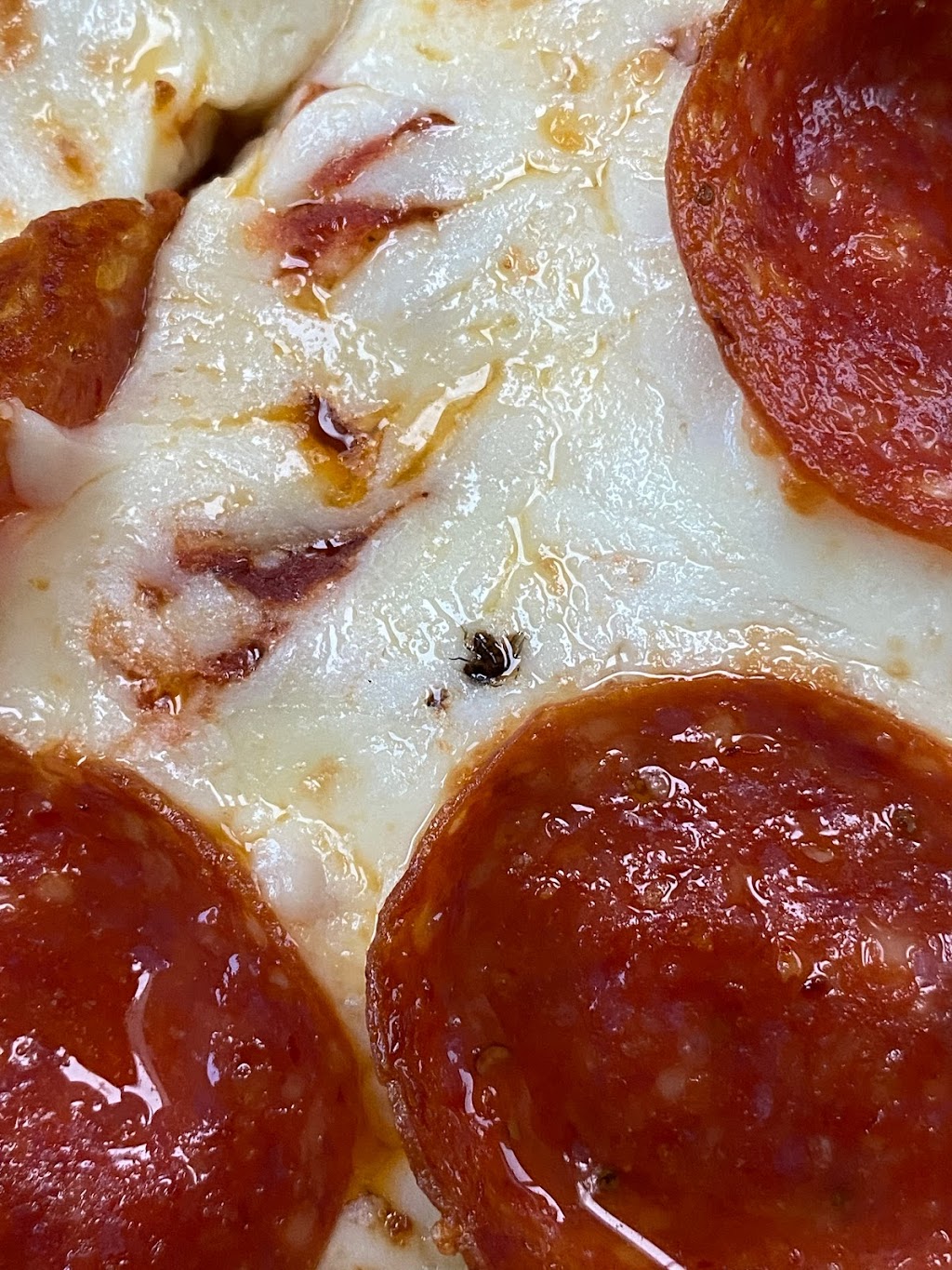 Little Caesars Pizza | 2701 Benstein Rd, Commerce Charter Twp, MI 48390, USA | Phone: (248) 624-8866