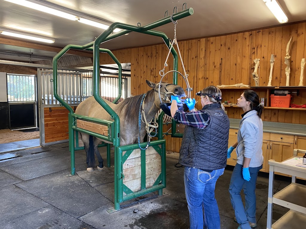 Columbia Equine Hospital | 27841 SE Orient Dr, Gresham, OR 97080, USA | Phone: (503) 663-1515