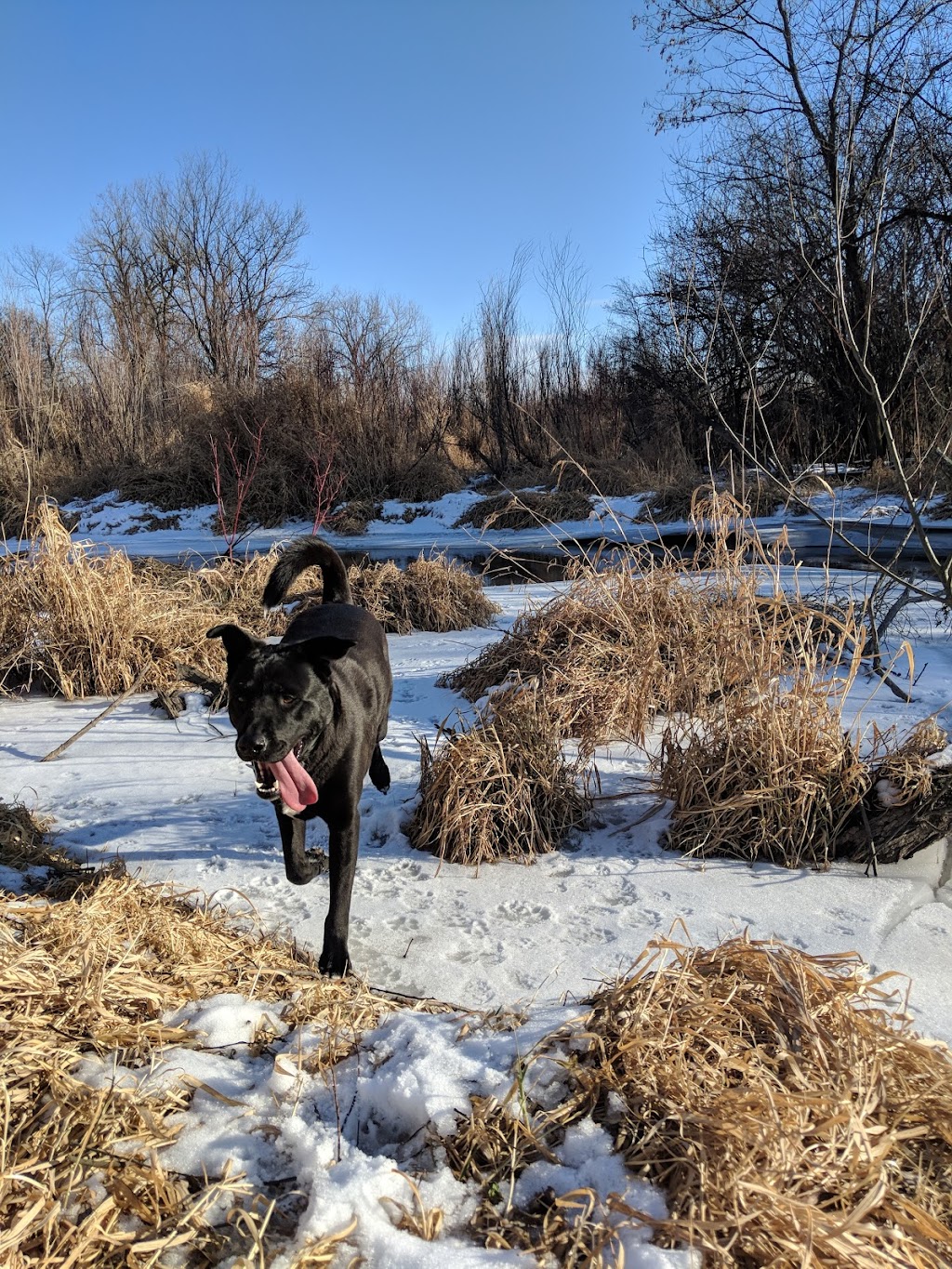 Cherokee Marsh State Fishery Area | Madison, WI 53704, USA | Phone: (608) 275-3225