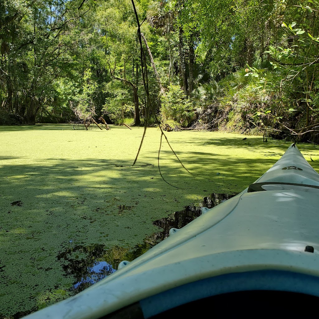 Wilderness Park Trout Creek Site | Trout Crk Pk, Thonotosassa, FL 33592, USA | Phone: (813) 987-6200