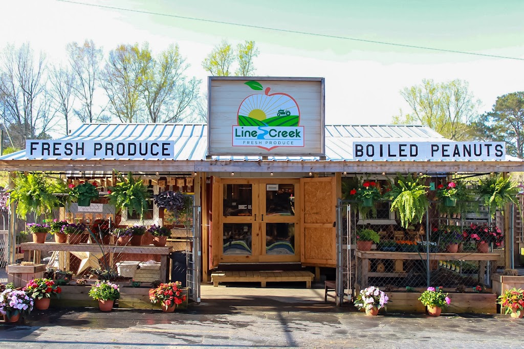 Line Creek Fresh Produce | 7902 Newnan Rd, Brooks, GA 30205, USA | Phone: (678) 972-4049