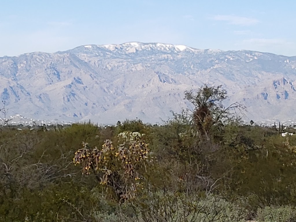 Lower Lincoln Park | 8280 E Escalante Rd, Tucson, AZ 85730, USA | Phone: (520) 791-4873