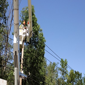 Girard Tree Service | 22030 Ventura Blvd suite h, Woodland Hills, CA 91364, United States | Phone: (213) 320-4535