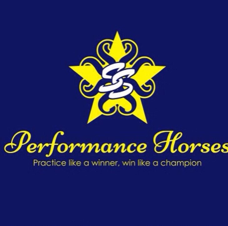 SS Performance Horses | 11127 Orcas Ave, Lake View Terrace, CA 91342, USA | Phone: (805) 732-3113