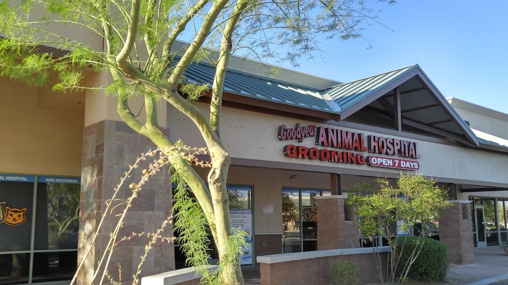 Goodyear Animal Hospital & Grooming | 380 N Estrella Pkwy A6, Goodyear, AZ 85338 | Phone: (623) 882-9000