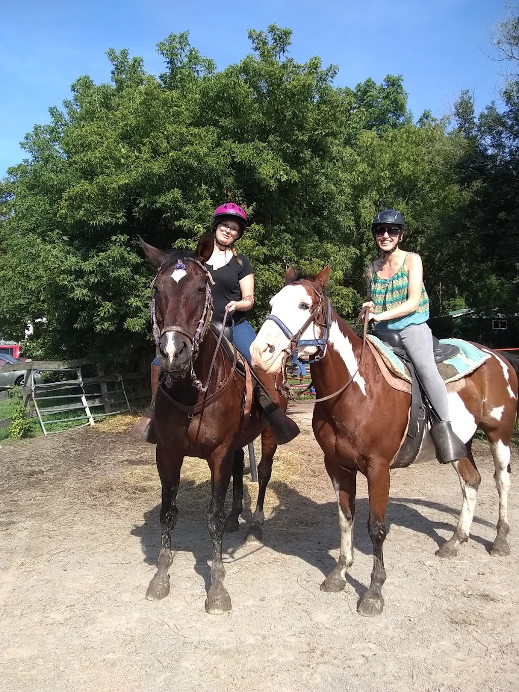 Niagara Riding Stables | 471 Warner Rd, Niagara-on-the-Lake, ON L0S 1J0, Canada | Phone: (905) 262-5101