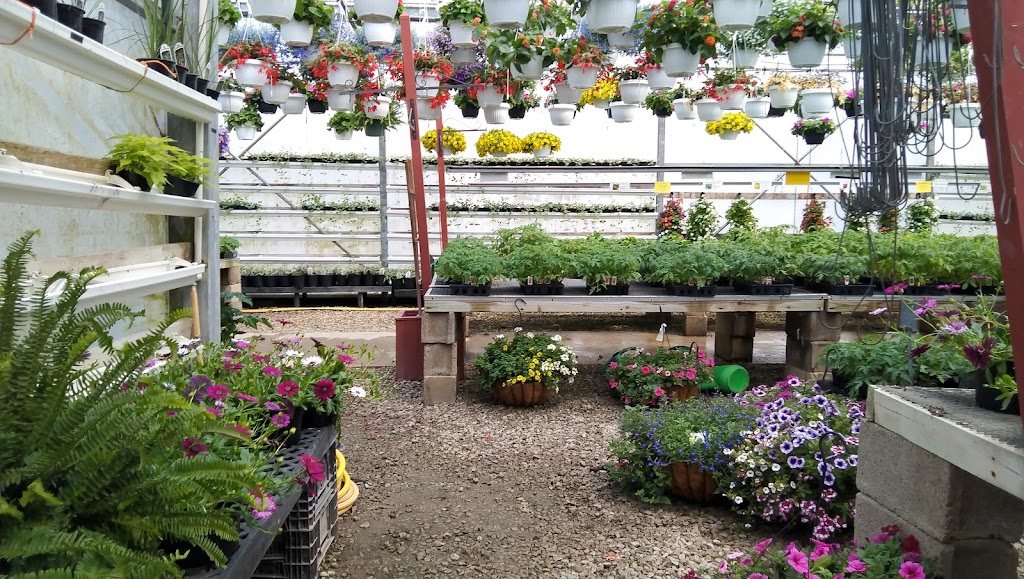 Country Meadows Garden Center | 11148 Chardon Rd, Chardon, OH 44024, USA | Phone: (440) 285-0955