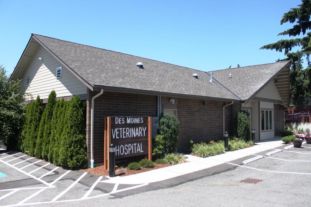 Des Moines Veterinary Hospital | 21935 Pacific Hwy S, Des Moines, WA 98198, United States | Phone: (206) 878-4111