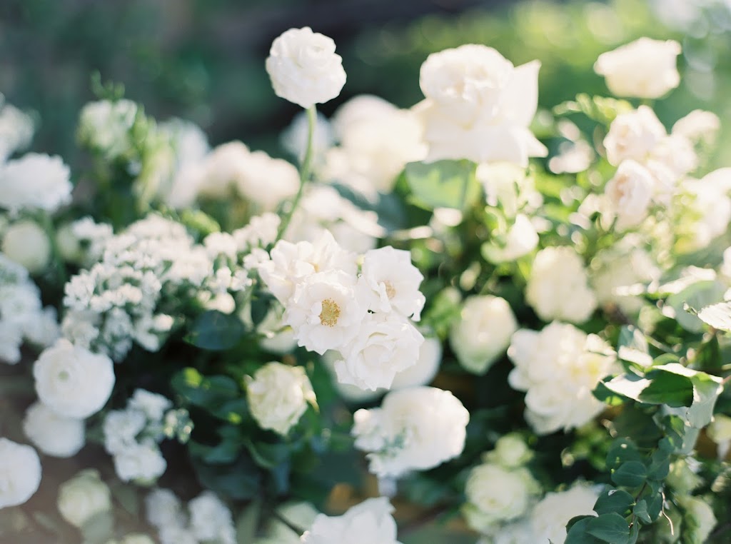 Bloom & Co. | 247 Four Mile Creek Rd, St. Davids, ON L0S 1P0, Canada | Phone: (289) 296-2372