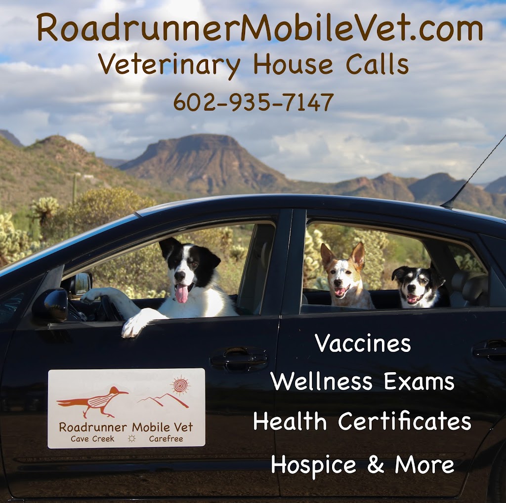 Roadrunner Mobile Vet | 38400 N School House Rd #7581, Cave Creek, AZ 85331, USA | Phone: (602) 935-7147