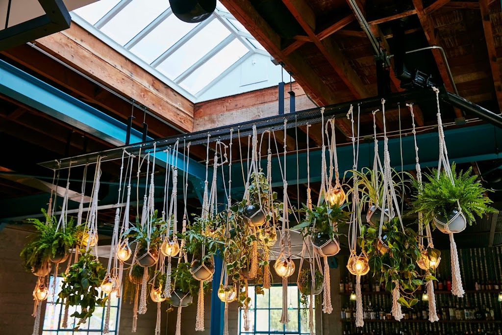 The Rose Venice | 220 Rose Ave, Venice, CA 90291, USA | Phone: (310) 399-0711