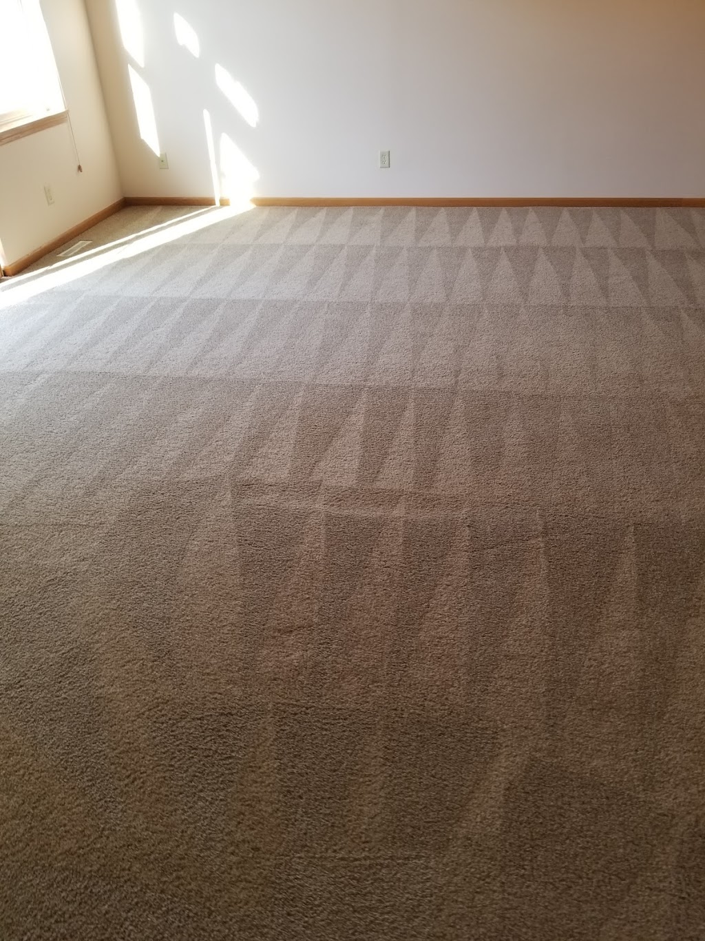 The Green Team Carpet & Air Duct Cleaning | 8407 Yukon Cir N, Champlin, MN 55316, USA | Phone: (763) 772-7550