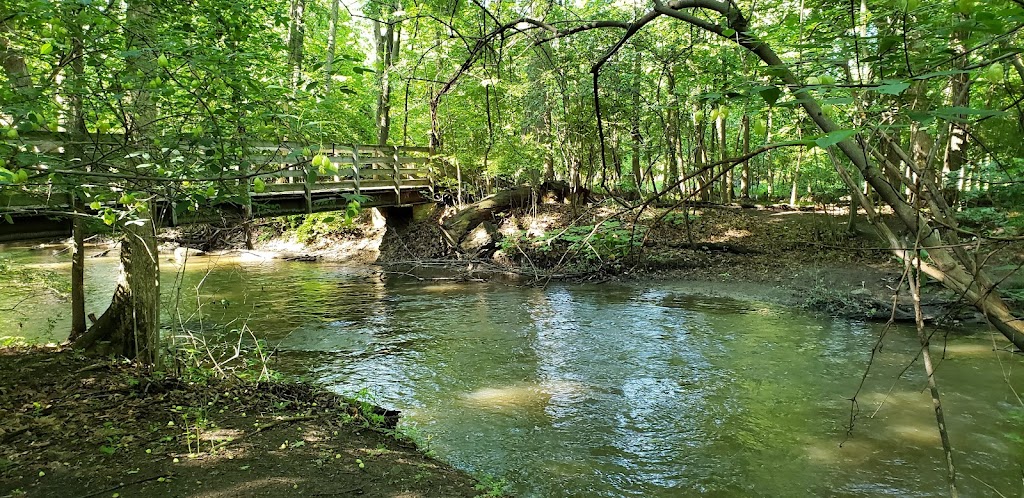 Dinosaur Hill Nature Preserve | 333 N Hill Cir, Rochester Hills, MI 48307, USA | Phone: (248) 656-0999