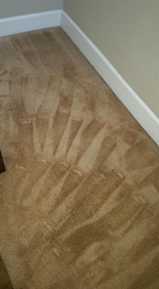 A Personal Touch Carpet Care | 874 Lakewood Dr, Sunnyvale, CA 94089, USA | Phone: (408) 605-2114