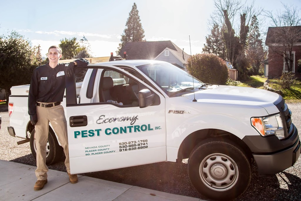 Economy Pest Control, Inc. | 4041 Grass Valley Hwy suite q, Auburn, CA 95602, USA | Phone: (530) 885-8741