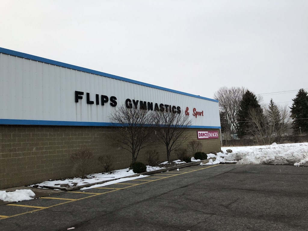 Flips Gymnastics & Sports | 6017 S Transit Rd, Lockport, NY 14094, USA | Phone: (716) 433-8811