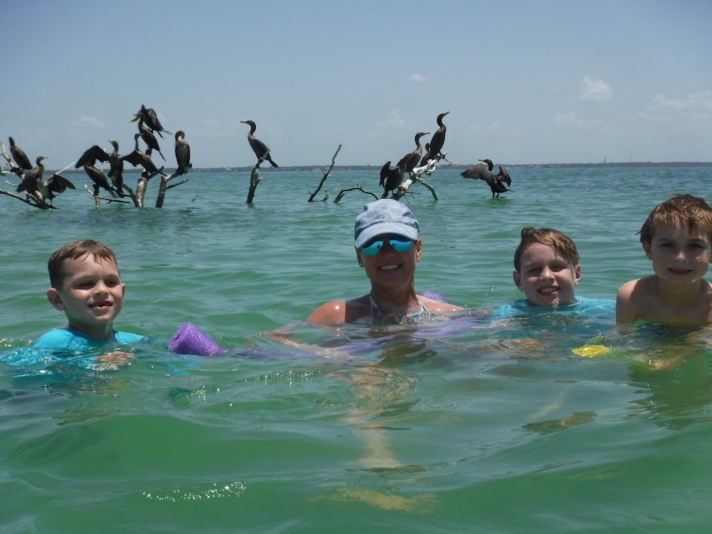 Seal in the Sun Charters | Anclote Village Marina, 1029 Baillies Bluff Road, Holiday, FL 34691, USA | Phone: (813) 915-3113