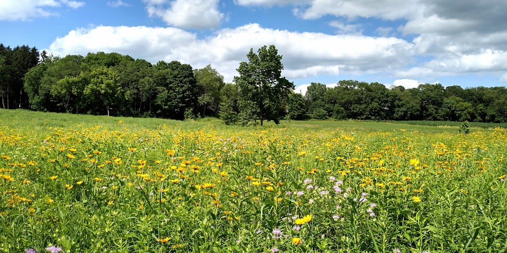 Anderson Farm County Park | 914 Union Rd, Oregon, WI 53575, USA | Phone: (608) 224-3730