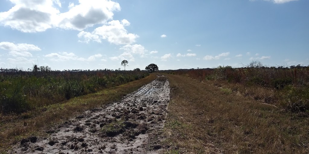 Myakka River State Park All Weather Road Gate | Myakka State Park Rd, Sarasota, FL 34241, USA | Phone: (941) 361-6511