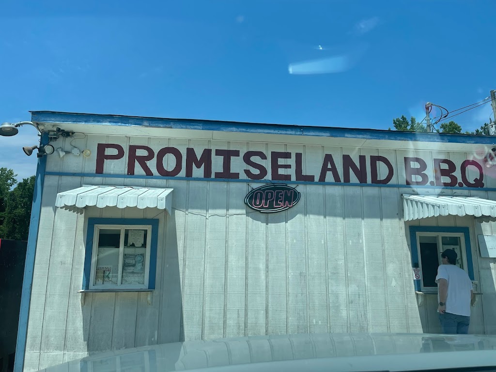 Promise Land B.B.Q | 20482 US-11, Woodstock, AL 35188, USA | Phone: (205) 938-7003