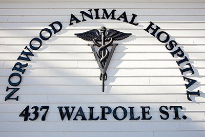 Norwood Animal Hospital | 437 Walpole St, Norwood, MA 02062, USA | Phone: (781) 769-3011