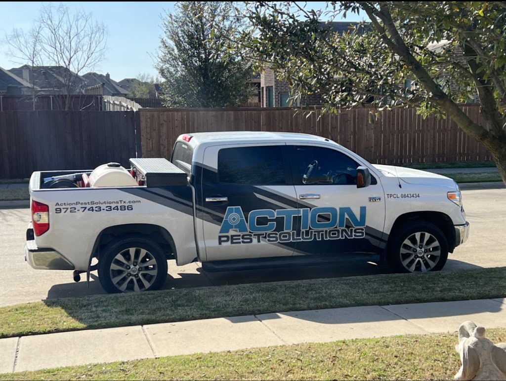 Action Pest Solutions | 526 Blue Sage, Rockwall, TX 75087, USA | Phone: (972) 743-3486