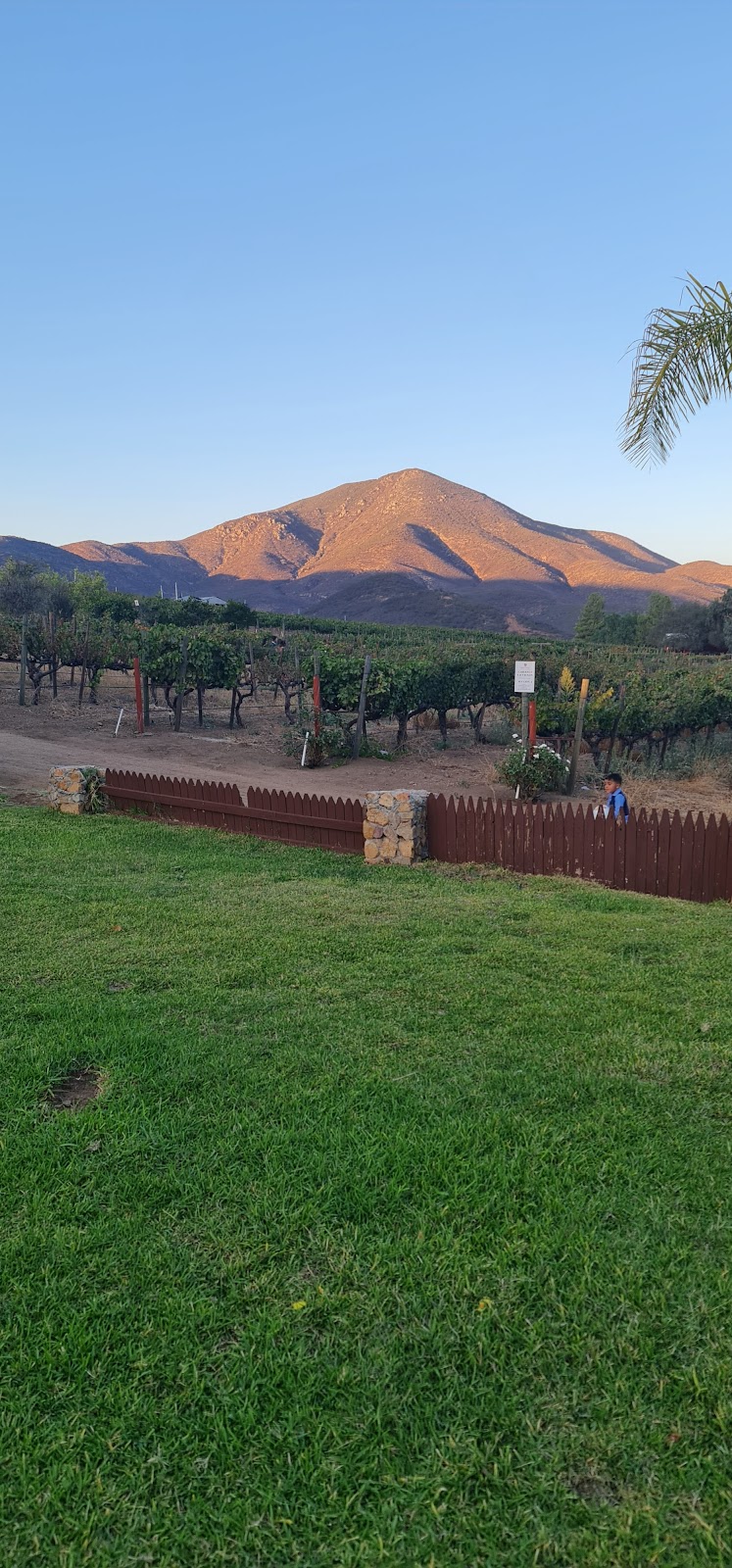 Rancho Casa Baloyan | 22756 Ensenada, B.C., Mexico | Phone: 664 648 2796