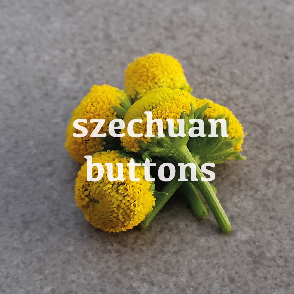 Arizona Microgreens | 3146 E Wier Ave, Phoenix, AZ 85040, USA | Phone: (602) 459-0984 Arizona Microgreens | 3146 E Wier Ave, Phoenix, AZ 85040, USA | Phone: (602) 459-0984