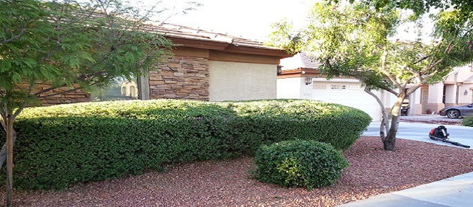 DD Landscaping | 14027 N 130th Dr, El Mirage, AZ 85335, USA | Phone: (623) 252-6765