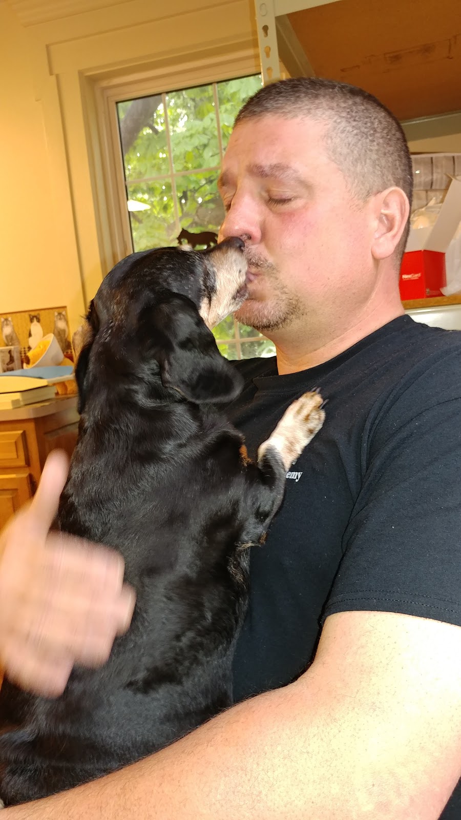 Medina Veterinary Clinic | 3144 N Gravel Rd, Medina, NY 14103, USA | Phone: (585) 798-0274